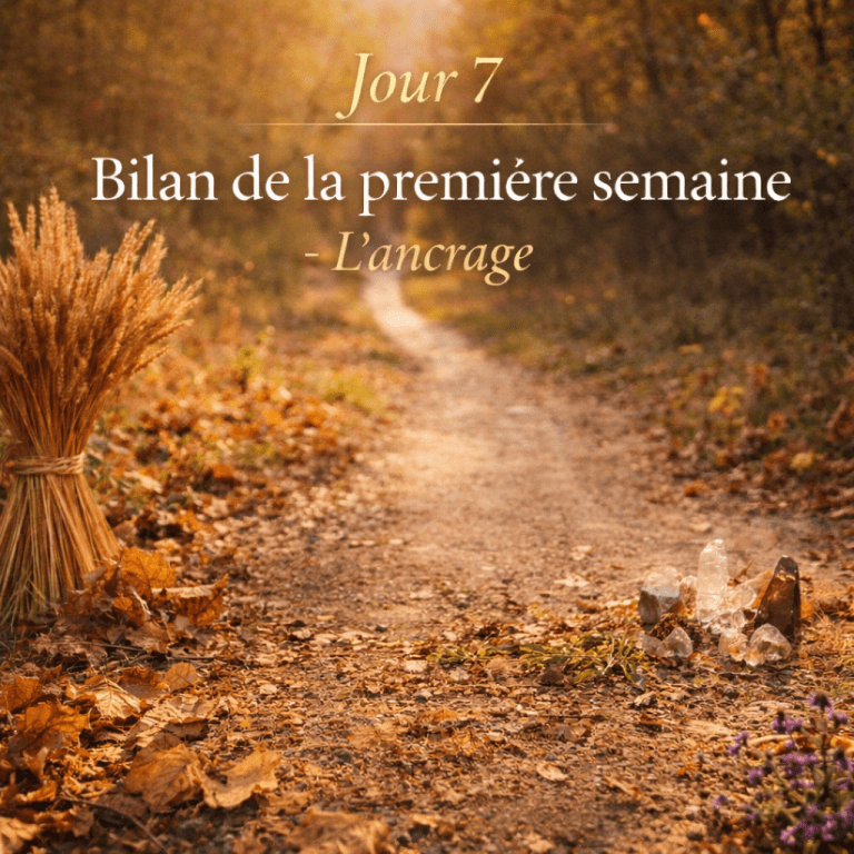 Chemin forestier baigné de lumière symbolisant l’ancrage, la progression intérieure et le bilan de la première semaine du challenge Tarot